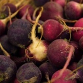 Beets Beets