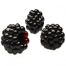 Blackberry Blackberry