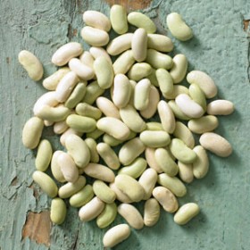 Butter Beans Butter Beans