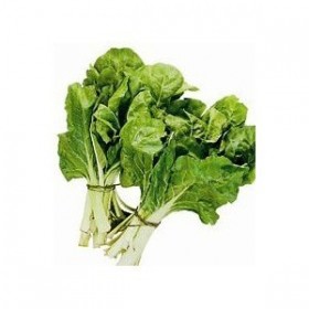 Chard Chard