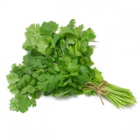 Cilantro Cilantro
