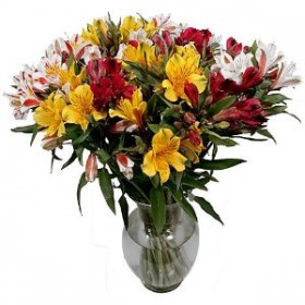 Cut Flowers Cut Flowers