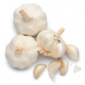 Garlic Garlic