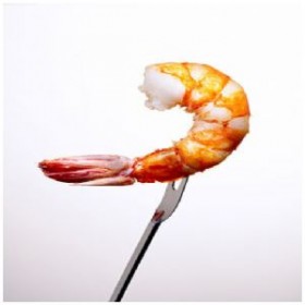 Shrimp Shrimp