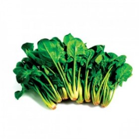 Spinach Spinach