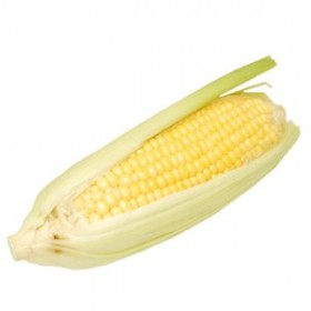 Sweet Corn Sweet Corn