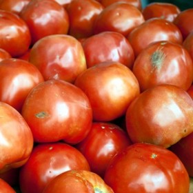 Tomato Tomato