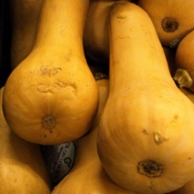 Yellow Squash Yellow Squash