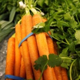 carrots carrots