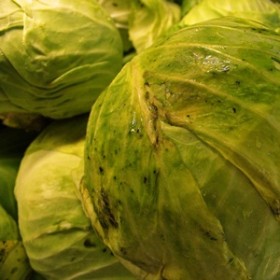 lettuce2 lettuce2