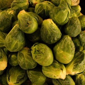 sprouts sprouts