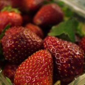 strawberry strawberry
