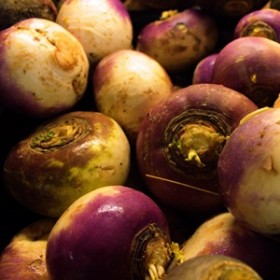turnip turnip